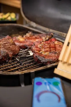 MEATER Block Met 4 Draadloze Thermometers -Zwembad Tuin 1o5a6817