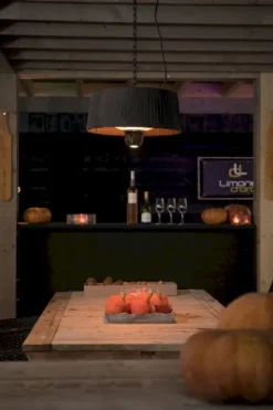 Sunred Heater Artix Hanging 1500 Terrasverwarmer - Zwart -Zwembad Tuin 900 600 artix c hb lifestyle 01 large