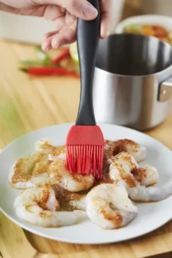 Barbecook Sauspan Met Marinadeborstel -Zwembad Tuin 900 600 bc acc 7211 sf 12 hr