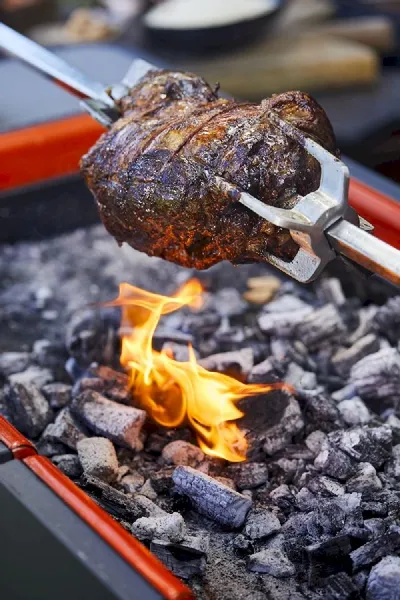 Everdure Fusion Houtskool Barbecue 5 Everdure Fusion Houtskool Barbecue - Afbeelding 5