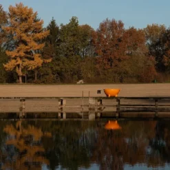 Weltevree Dutchtub Original Houtgestookte Hottub - 4 Personen - Oranje -Zwembad Tuin chtub original gallery 12 1920x1920 3