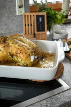 MEATER Block Met 4 Draadloze Thermometers -Zwembad Tuin img 7944