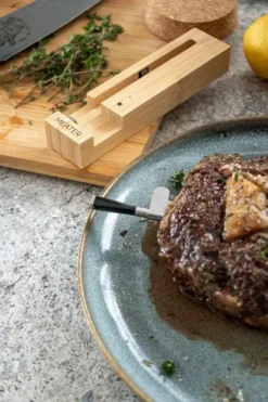 MEATER Original Draadloze Thermometer -Zwembad Tuin img 7974